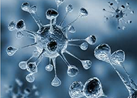 和记H88体内体表药效试验顺利通过药监局审查