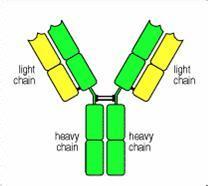 首页| 和记H88集团怡情博娱官网