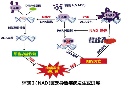 首页| 和记H88集团怡情博娱官网