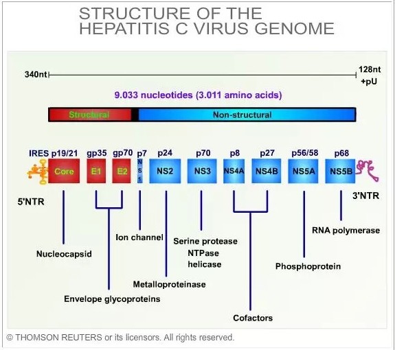 首页| 和记H88集团怡情博娱官网