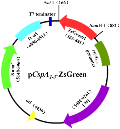 首页| 和记H88集团怡情博娱官网
