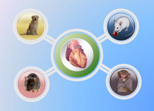 首页| 和记H88集团怡情博娱官网