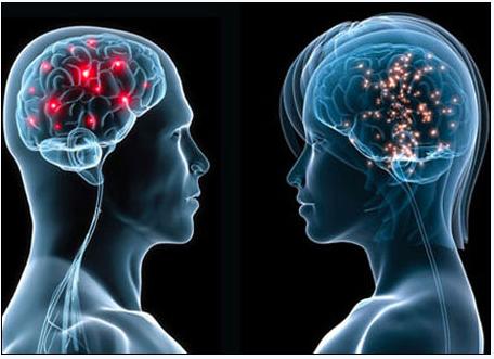 5月2号，医药经济报上颁发了关于陈春麟博士的报路——CRO的中国式崛起蹊径