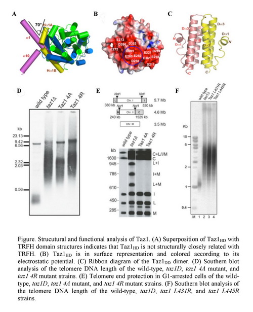 首页| 和记H88集团怡情博娱官网