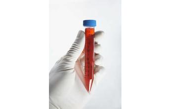 首页| 和记H88集团怡情博娱官网