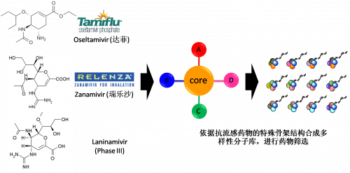 图2：以现有抗流感药物的结构为基础，进行多样性药物分子库的合成。