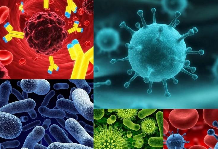 原位杂交技术的根基流程有哪些？