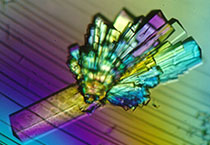 首页| 和记H88集团怡情博娱官网