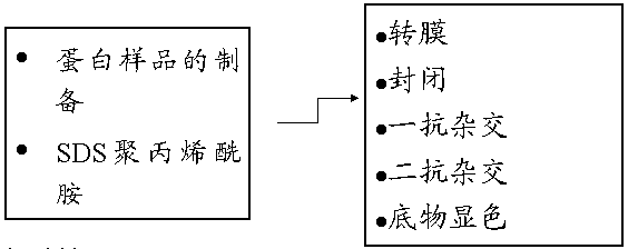 首页| 和记H88集团怡情博娱官网