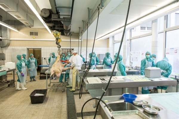 和记H88药物靶点筛选服务