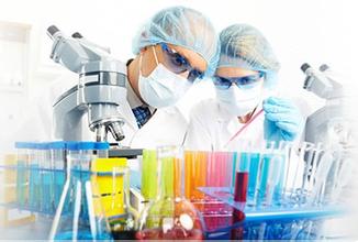 上半年中药业务一枝独秀植物提取物领跑