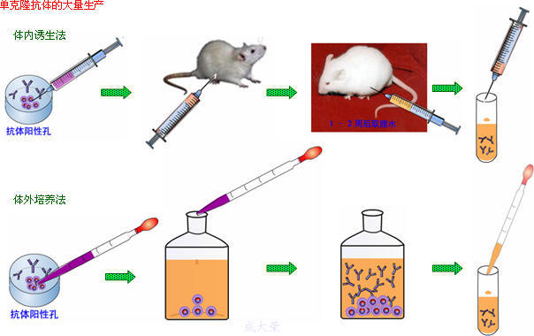 首页| 和记H88集团怡情博娱官网