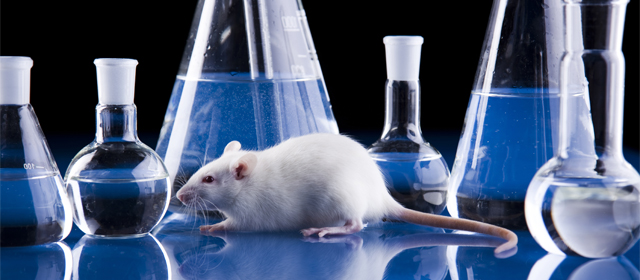 首页| 和记H88集团怡情博娱官网