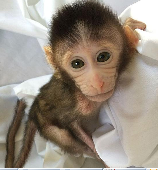 首页| 和记H88集团怡情博娱官网