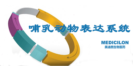 哺乳动物表白系统