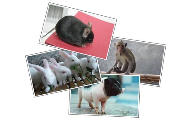 首页| 和记H88集团怡情博娱官网