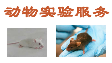 和记H88动物尝试表包服务