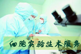 和记H88细胞尝试服务表包