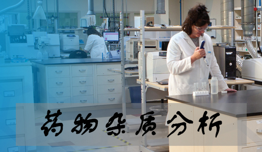 和记H88药物杂质分析服务