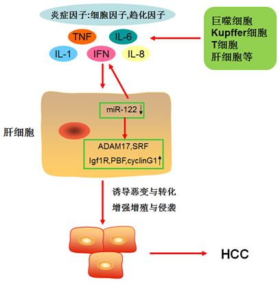 首页| 和记H88集团怡情博娱官网