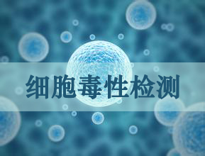 和记H88细胞毒性尝试服务