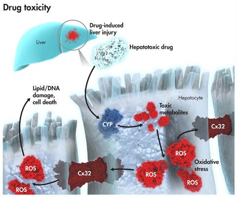 首页| 和记H88集团怡情博娱官网