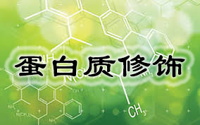 首页| 和记H88集团怡情博娱官网