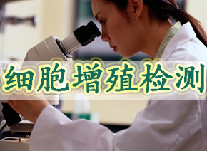 和记H88细胞增殖检测