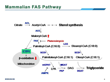 首页| 和记H88集团怡情博娱官网
