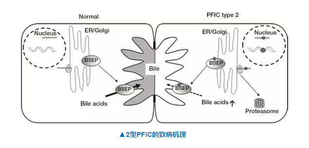 首页| 和记H88集团怡情博娱官网