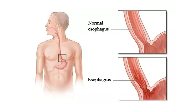 首页| 和记H88集团怡情博娱官网