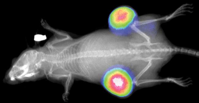 首页| 和记H88集团怡情博娱官网