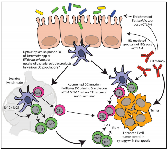 首页| 和记H88集团怡情博娱官网