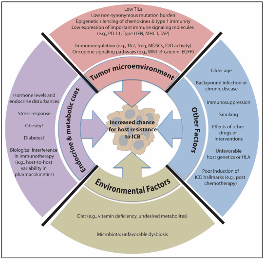 首页| 和记H88集团怡情博娱官网