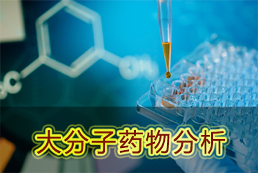 和记H88大分子药物分析服务