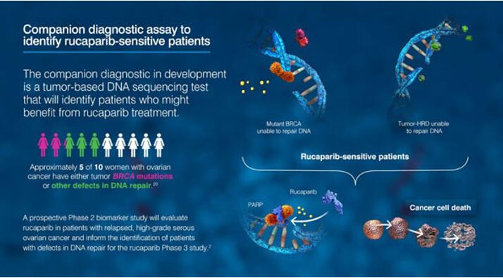 首页| 和记H88集团怡情博娱官网