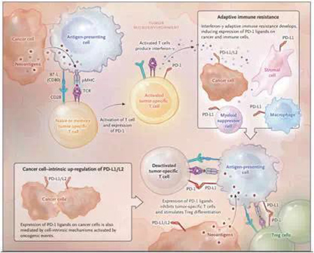 首页| 和记H88集团怡情博娱官网