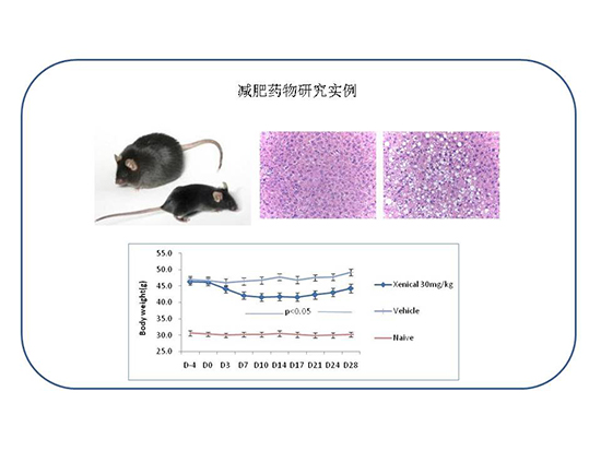 首页| 和记H88集团怡情博娱官网