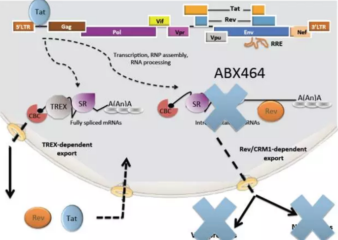 首页| 和记H88集团怡情博娱官网