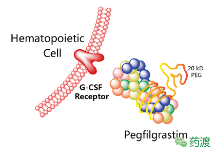 首页| 和记H88集团怡情博娱官网