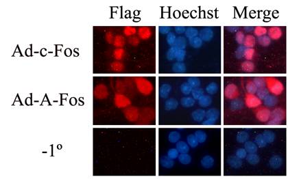首页| 和记H88集团怡情博娱官网
