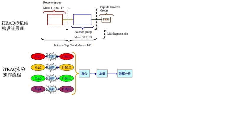 首页| 和记H88集团怡情博娱官网