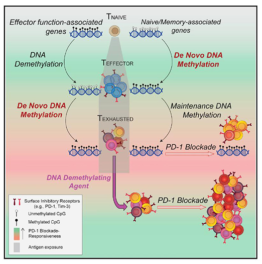首页| 和记H88集团怡情博娱官网