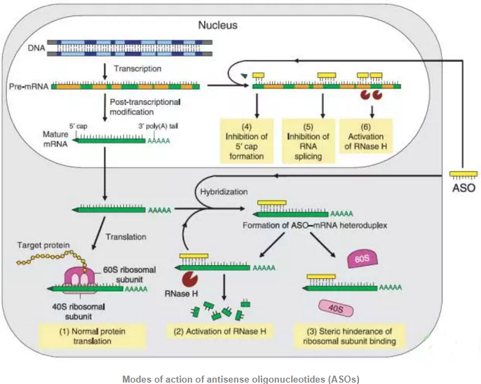 首页| 和记H88集团怡情博娱官网