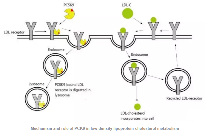 首页| 和记H88集团怡情博娱官网