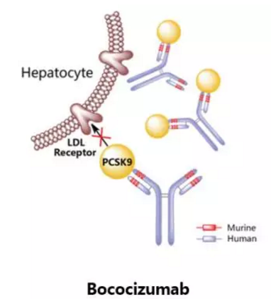 首页| 和记H88集团怡情博娱官网