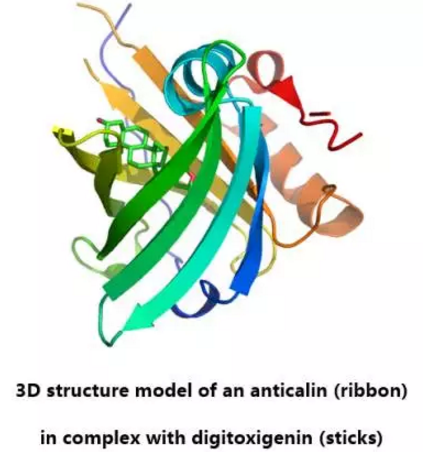 首页| 和记H88集团怡情博娱官网