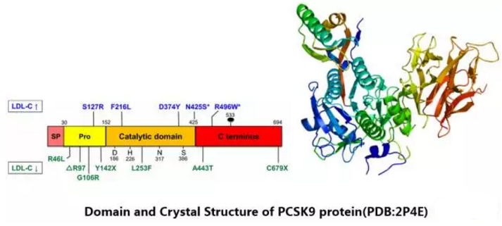 首页| 和记H88集团怡情博娱官网