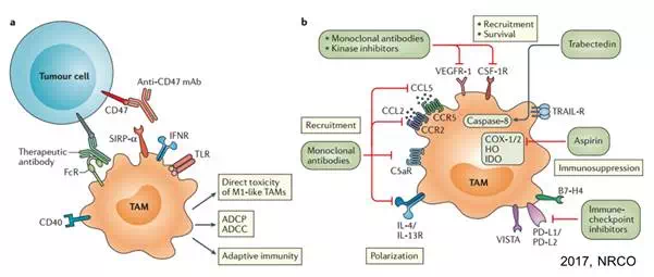 首页| 和记H88集团怡情博娱官网