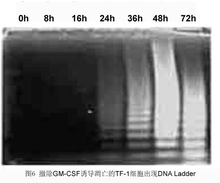 首页| 和记H88集团怡情博娱官网